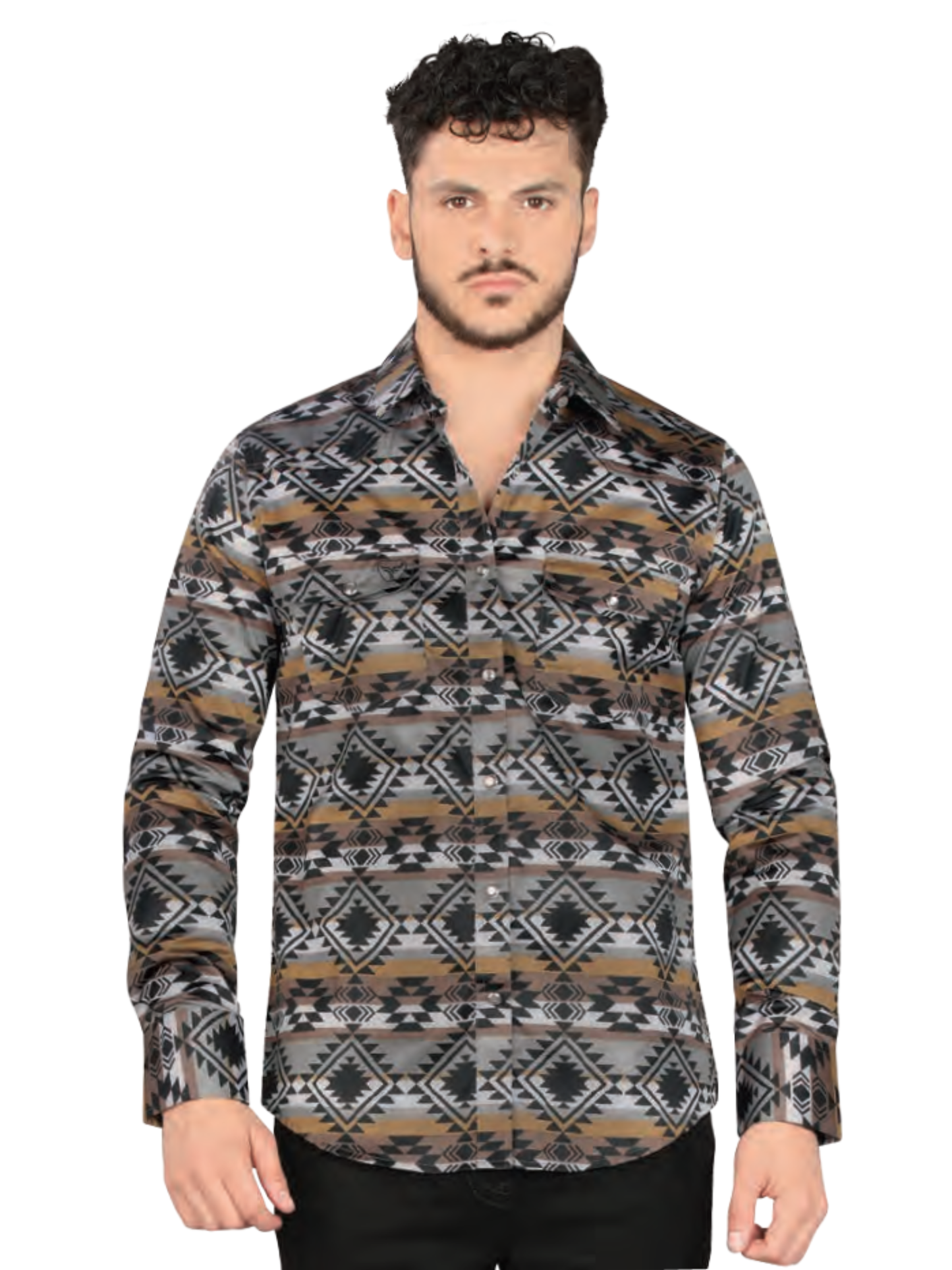 Men's Casual Long Sleeve Printed Shirt 'Lamasini' - ID: 2004